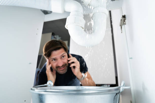 Best Residential Plumbing Services  in Abingdon, IL